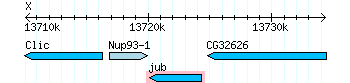 FlyBase